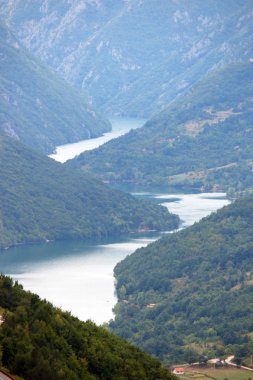 Drina river canyon manzara Tara dağ Sırbistan