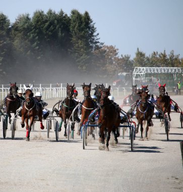 Hipodrom hareket koşum yarış atları