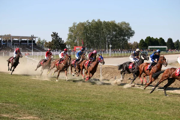 Chevaux Course Avec Jockeys Galopant Image En Vente