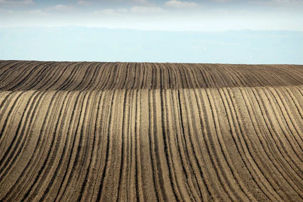 Campo Arato Marrone Terreno Agricolo Paesaggio Agricoltura — Foto Stock