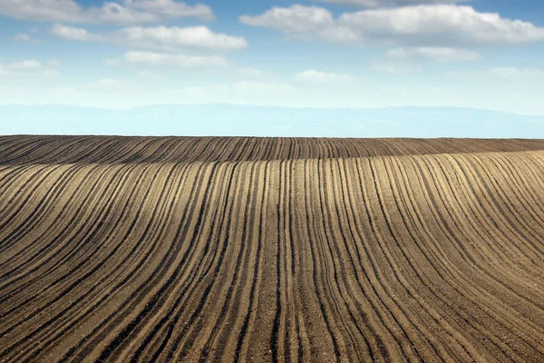 Campo Arato Terreno Agricolo Paesaggio Agricoltura — Foto Stock