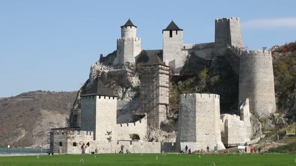 石壁や塔の Golubac 要塞セルビア — ストック動画