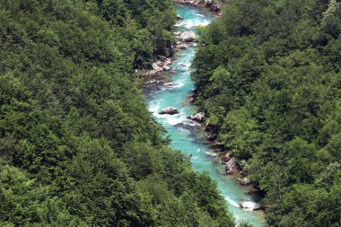 Tara nehir manzara Karadağ bahar mevsimi