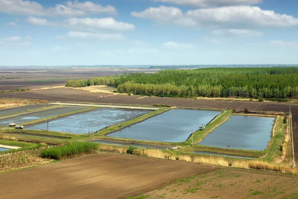 Pesce Stagno Vista Aerea Agricoltura Paesaggio Rurale — Foto Stock