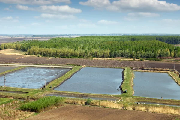 Fischteichbrüterei Landwirtschaft Ländliche Landschaft — Stockfoto