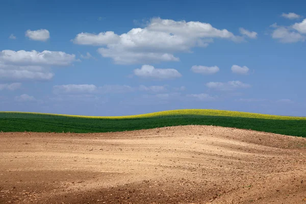 Gepflügte Und Grüne Weizenfelder Der Frühjahrslandwirtschaft — Stockfoto