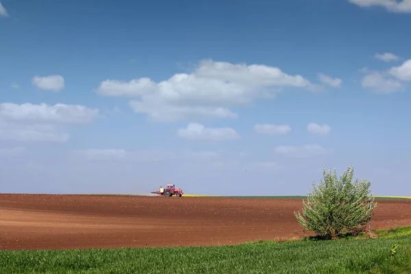 Traktor Sprüht Feld Frühjahr Landwirtschaftliche Landschaft — Stockfoto