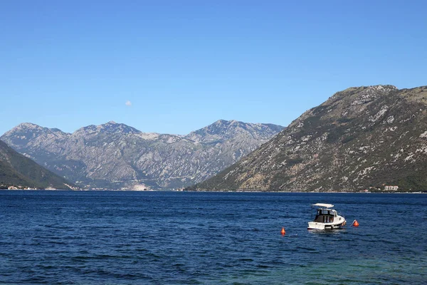 Fjärden Kotor Montenegro Sommar — Stockfoto