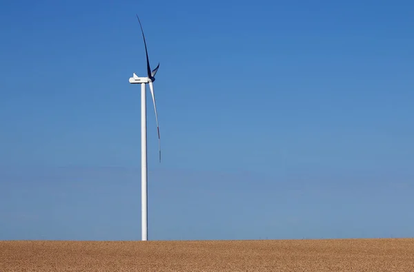 Wind Turbine Wheat Field Summer — Stock Photo, Image