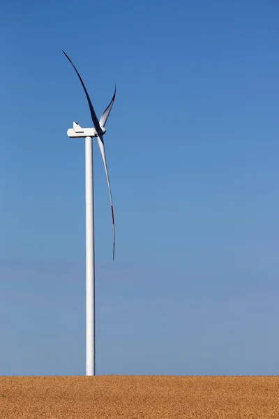 Windturbine Aan Tarweveld Zomer Landschap — Stockfoto