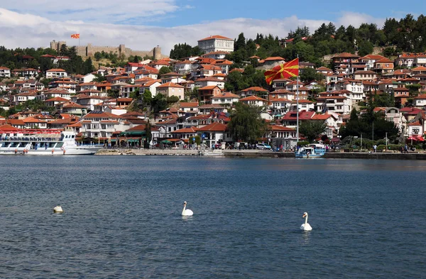 Łabędzie są pływanie na Jezioro Ochrydzkie Macedonia — Zdjęcie stockowe