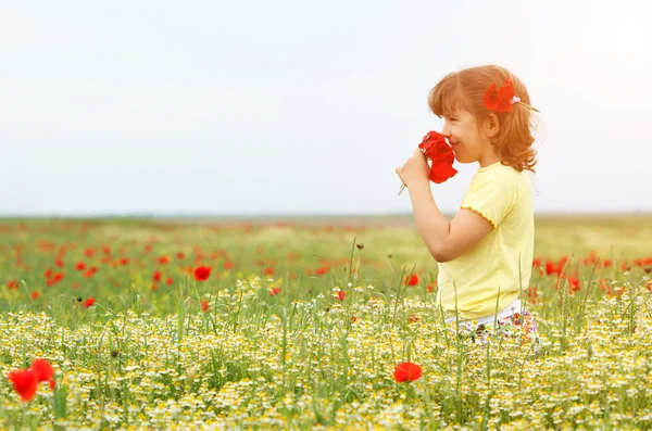 Happy little girl in the meadow spring season — Stock Photo, Image