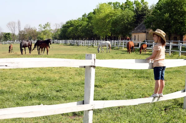 Holčička s kovbojský klobouk hlídá koně na farmě — Stock fotografie