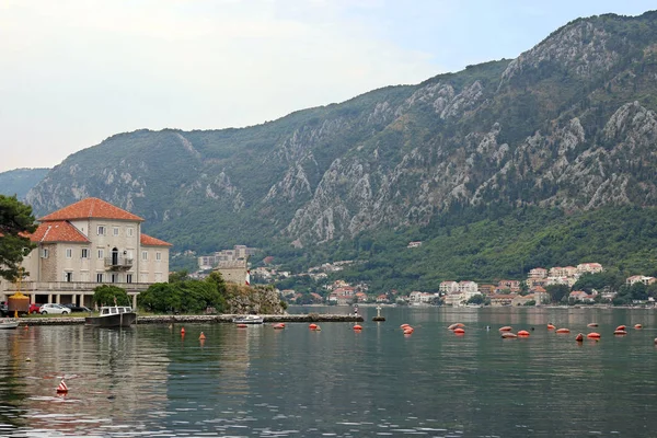 Которский залив в Которской Черногории в летний сезон — стоковое фото