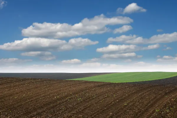 Campo coltivato in primavera agricoltura Voivodina Serbia paesaggio — Foto Stock