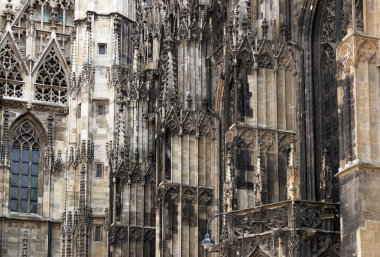 Saint Stephens Katedrali detay Viyana Avusturya