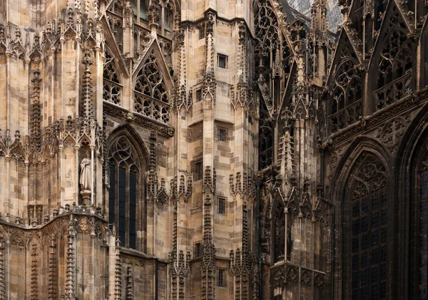 Saint stephens kathedralmauer detail wien Österreich — Stockfoto