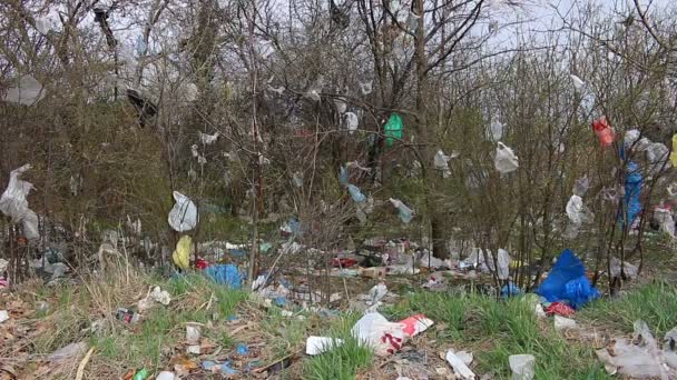 Plastpåsar Grenar Träd Och Mark Miljöförorening — Stockvideo