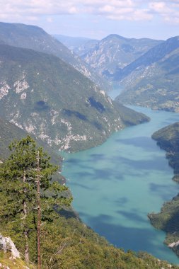 bakış açısı Banjska stena Tara dağ manzara Sırbistan