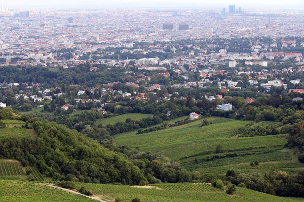 Suburb and city Vienna cityscape  Austria — Stock Photo, Image