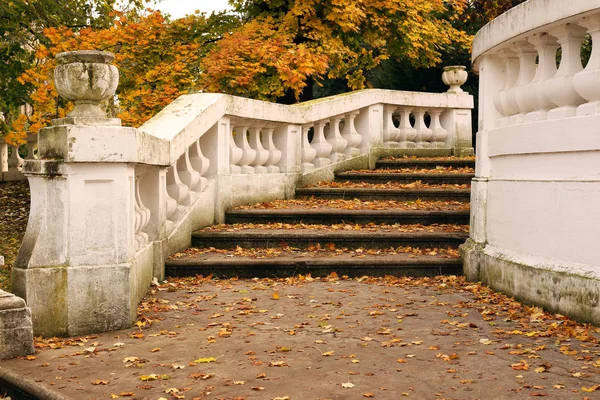 Oude stenen trap met gevallen bladeren in park herfst seizoen — Stockfoto