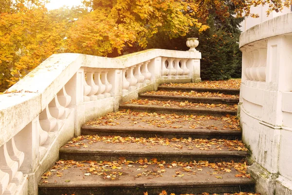 Escalier en pierre avec feuilles tombées automne saison vintage — Photo