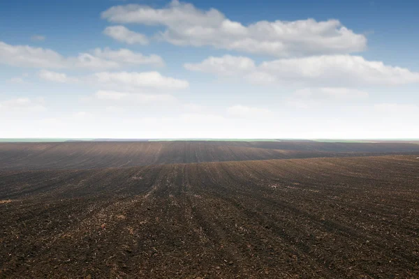 Terreno coltivato Voivodina Serbia paesaggio autunno stagione — Foto Stock