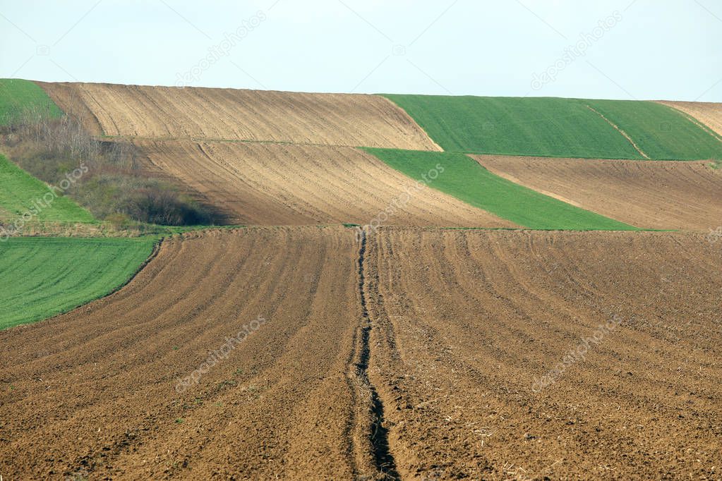 Plowed field  agriculture landscape Voivodina Serbia