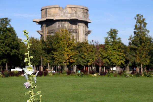 Kwiat i anty-wieża powietrzna Flakturm w parku Augarten w Wiedniu — Zdjęcie stockowe