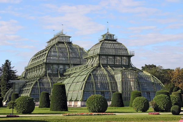 Palmenhaus greenhaus в Вене Австрия — стоковое фото