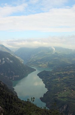 Bakış açısı: Banjska stena Tara Dağı Sabah manzarası