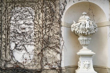 Viyana sonbahar sezonunda heykel ve duvarda sürüngen bitkisi