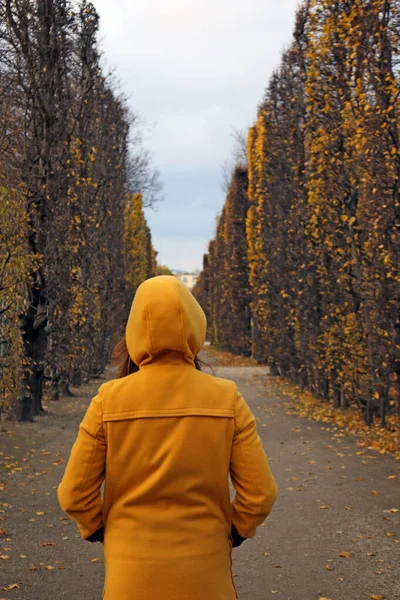 Lány Sárga Kapucnis Kabátban Augarten Parkban Bécs Őszi Szezonja — Stock Fotó