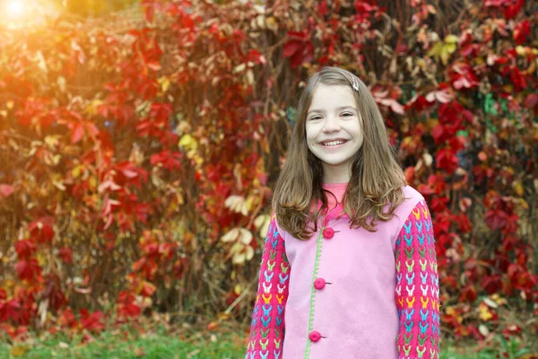 Pequena Menina Feliz Retrato Parque Estação Outono — Fotografia de Stock