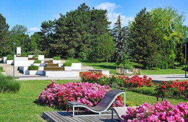Roses flowers and fountain Donau park in Vienna Austria spring season clipart