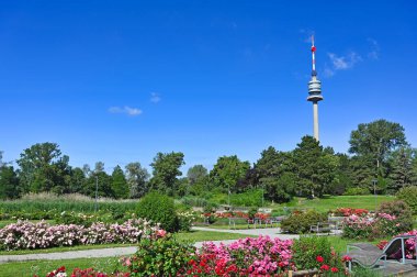 Tv tower in Donaupark Vienna spring season clipart