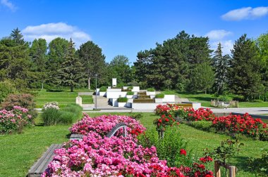 Roses flowers and fountain Donau park in Vienna spring season clipart