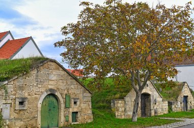 Eski şarap mahzeni sokağı, Kellergasse Purbach, Burgenland, Avusturya, sonbahar mevsimi