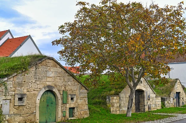 Eski şarap mahzeni sokağı, Kellergasse Purbach, Burgenland, Avusturya, sonbahar mevsimi