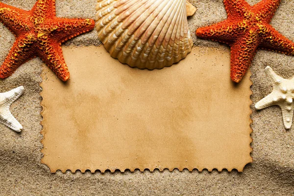 夏季背景 沙滩上的空白纸和各种贝壳和海星 — 图库照片