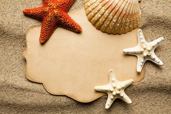 沙滩沙背景上的空白纸标签和各种贝壳和海星 — 图库照片