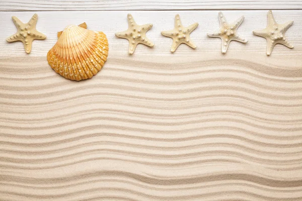 Καλοκαίρι Φόντο Παραλία Άμμος Αστερίες Και Κελύφους — Φωτογραφία Αρχείου