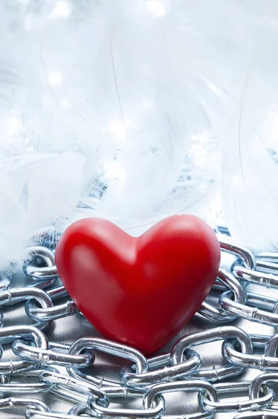 Red heart on metal chains and white feathers background