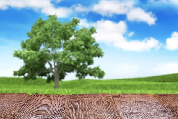 Leere Holztisch Auf Frühling Landschaft Hintergrund — Stockfoto