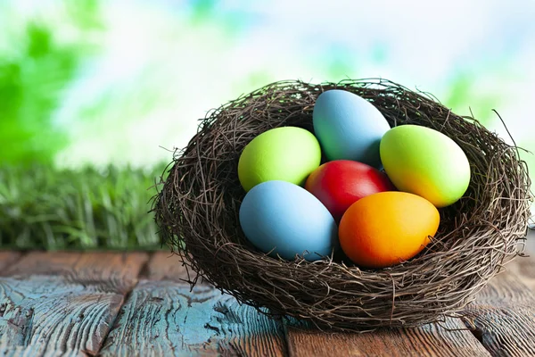 Uova di Pasqua colorate nel nido su tavola di legno e zaino natura — Foto Stock