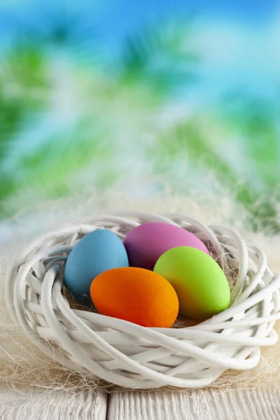 Four colored Easter eggs in white nest on wooden table and natur — Stock Photo, Image