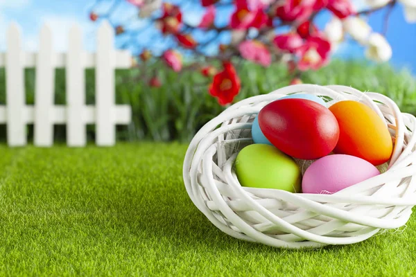 Farbige Ostereier in weißem Nest auf Gras und Frühlingsrückstand — Stockfoto