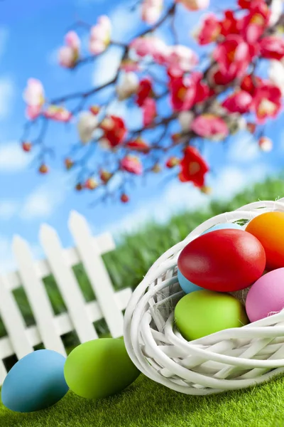 Gefärbte Ostereier auf frühlingshaftem Hintergrund — Stockfoto