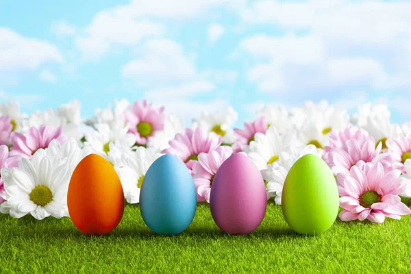 Huevos de Pascua y flores sobre la hierba y el fondo azul del cielo —  Fotos de Stock