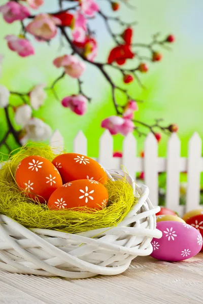 五颜六色的复活节彩蛋, 木桌上的白色鸟巢和栅栏和 b — 图库照片